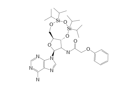 2'-DEOXY-2'-(2-PHENOXYACETAMIDO)-3',5'-O-(1,1,3,3-TETRAISOPROPYLDISILOXANE-1,3-DIYL)-ADENOSINE