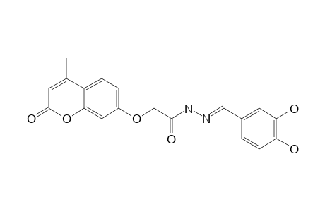 (E)-N'-(3,4-DIHYDROXYBENZYLIDENE)-2-(4-METHYL-2-OXO-2H-CHROMEN-7-YLOXY)-ACETOHYDRAZIDE