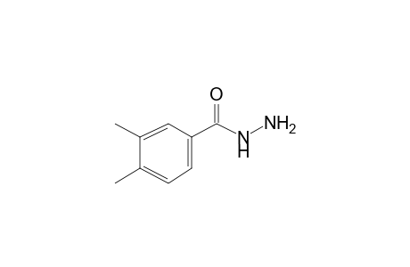 3,4-Dimethylbenzohydrazide