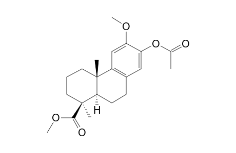 METHYL,13-ACETOXY,12-METHOXYPODOCARPA-8,11,13-TRIEN-19-OATE