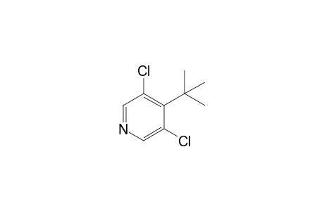 4-tert-Butyl-3,5-dichloropyridine