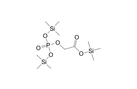 Acetic acid, [[bis[(trimethylsilyl)oxy]phosphinyl]oxy]-, trimethylsilyl ester
