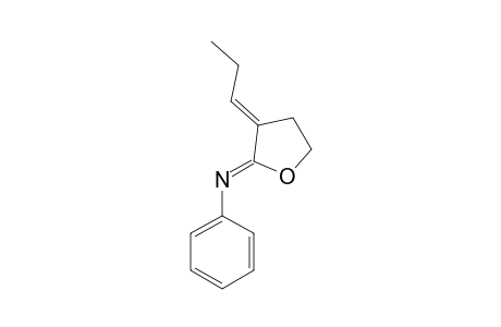 3-PROPYLIDENE-2-PHENYLIMINO-OXOLANE