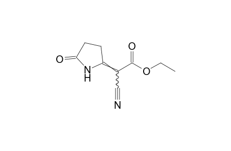 a-cyano-5-oxo-delta 2,a-pyrrolidineacetic acid, ethyl ester