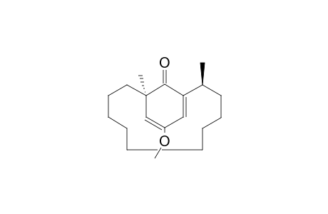 (1R,11S)-14-methoxy-1,11-dimethylbicyclo[10.3.1]hexadeca-12,14-dien-16-one