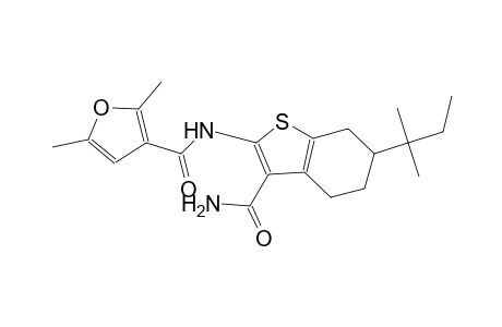 N-[3-(aminocarbonyl)-6-tert-pentyl-4,5,6,7-tetrahydro-1-benzothien-2-yl]-2,5-dimethyl-3-furamide
