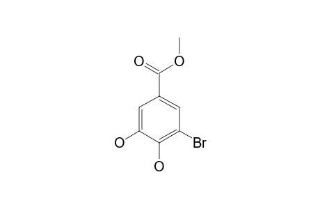 3-Bromo-4,5-dihydroxybenzoic acid methyl ester