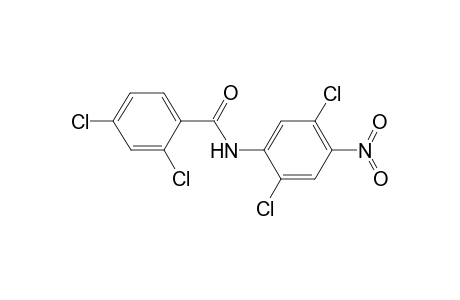 Benzamide, 2,4-dichloro-N-(2,5-dichloro-4-nitrophenyl)-