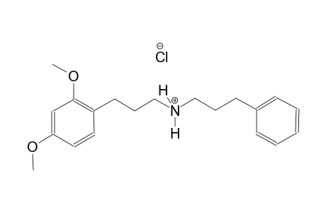 benzenepropanaminium, 2,4-dimethoxy-N-(3-phenylpropyl)-, chloride