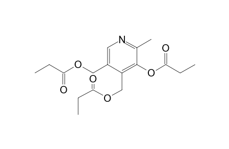 Pyridoxine 3PROP