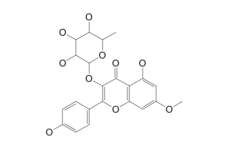 Rhamnocitrin-3-O-rhamnoside