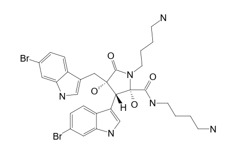 EUSYNTYELAMIDE_D