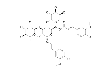 PEDICLUARIOSIDE_I;1'-O-BETA-D-(3-METHOXY-4-HYDROXYPHENYL)-ETHYL-ALPHA-L-RHAMNPSYL-(1->3')-ALPHA-L-ARABINOSYL-(1->4')-6'-O-FERULOYLGLUCOPYRANOSIDE