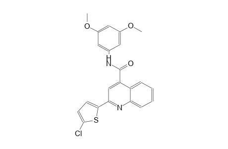 2-(5-chloro-2-thienyl)-N-(3,5-dimethoxyphenyl)-4-quinolinecarboxamide