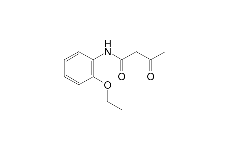 o-acetoacetaphenetidide