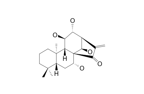 RABDOLOXIN-B