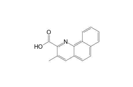 3-Methyl-2-benzo[h]quinolinecarboxylic acid