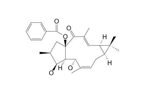 15-BETA-O-BENZOYL-5-ALPHA-HYDROXYISOLATHYROL