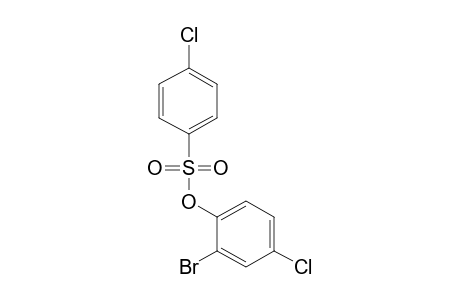 p-CHLOROBENZENESULFONIC ACID, 2-BROMO-4-CHLOROPHENYL ESTER