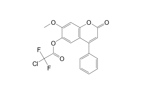 6-Hydroxy-7-methoxy-4-phenylcoumarin, chlorodifluoroacetate