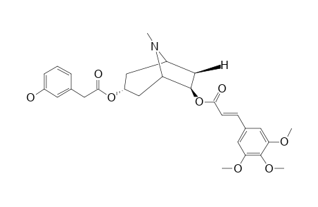 PERVILLEINE-E;3-ALPHA-(3-HYDROXYPHENYLACETOXY)-6-BETA-(E)-(3,4,5-TRIMETHOXYCINNAMOYLOXY)-TROPANE