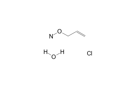 O-Allylhydroxylamine hydrochloride hydrate