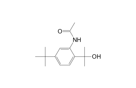 Acetamide, N-[5-(1,1-dimethylethyl)-2-(1-hydroxy-1-methylethyl)phenyl]-