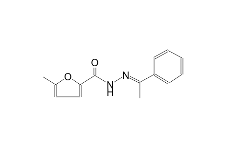 5-methyl-N'-[(E)-1-phenylethylidene]-2-furohydrazide