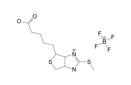 2'-THIOBIOTIN-2'-S-METHYL-FLUOROBORATE