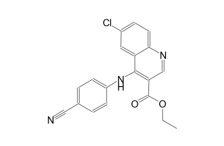 3-quinolinecarboxylic acid, 6-chloro-4-[(4-cyanophenyl)amino]-, ethyl ester