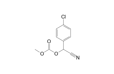 2-(4-Chlorophenyl)-2-(methoxycarbonyloxy)acetonitrile