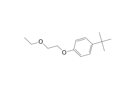 Benzene, 1-(1,1-dimethylethyl)-4-(2-ethoxyethoxy)-