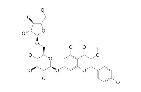 4',5,7-TRIHYDROXY-3-METHOXYFLAVONE-7-O-ALPHA-L-ARABINOFURANOSYL-(1->6)-BETA-D-GLUCOPYRANOSIDE