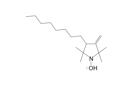 2,2,5,5-Tetramethyl-3-methylene-4-octylpyrrol-1-yloxyl redical