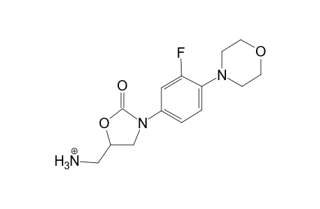 Linezolide MS3_1