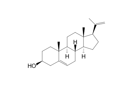 (3S,8S,9S,10R,13S,14S,17R)-10,13-dimethyl-17-(1-methylethenyl)-2,3,4,7,8,9,11,12,14,15,16,17-dodecahydro-1H-cyclopenta[a]phenanthren-3-ol