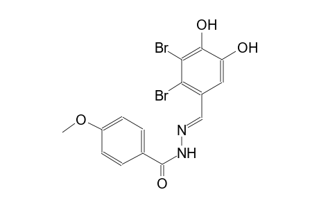 benzoic acid, 4-methoxy-, 2-[(E)-(2,3-dibromo-4,5-dihydroxyphenyl)methylidene]hydrazide