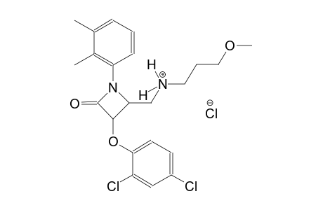 2-azetidinemethanaminium, 3-(2,4-dichlorophenoxy)-1-(2,3-dimethylphenyl)-N-(3-methoxypropyl)-4-oxo-, chloride