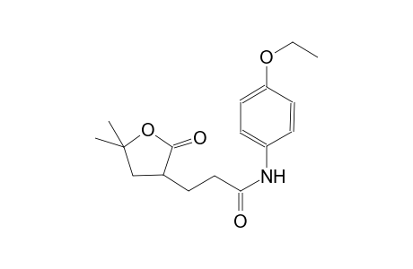 3-(5,5-dimethyl-2-oxotetrahydro-3-furanyl)-N-(4-ethoxyphenyl)propanamide