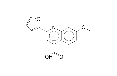 2-(2-Furyl)-7-methoxy-4-quinolinecarboxylic acid
