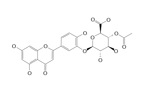 LUTEOLIN-3'-O-(4''-O-ACETYL)-BETA-D-GLUCURONOPYRANOSIDE