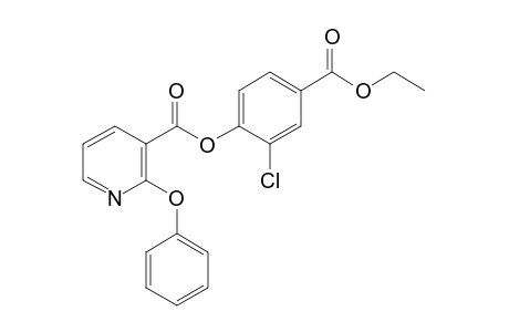 2-phenoxynicotinic acid, ester with 3-chloro-4-hydroxybenzoic acid, ethyl ester