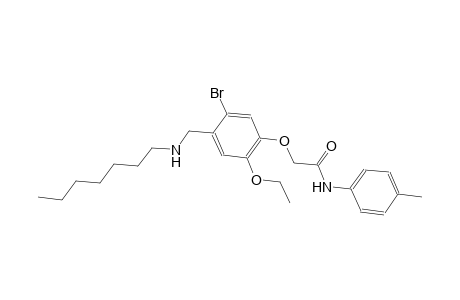 2-{5-bromo-2-ethoxy-4-[(heptylamino)methyl]phenoxy}-N-(4-methylphenyl)acetamide