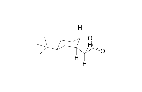 (3aR,5S,7aS)-5-tert-butyl-3a,4,5,6,7,7a-hexahydro-3H-1-benzofuran-2-one