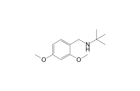 N-(tert-butyl)-N-(2,4-dimethoxybenzyl)amine