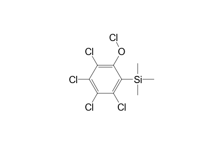 Pentachlorophenol,o-trimethylsilyl