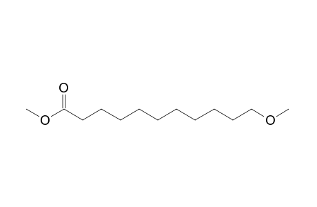 11-methoxyundecanoic acid, methyl ester