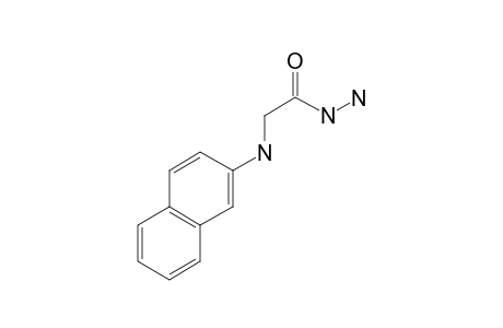 2-(2-Naphthylamino)acetohydrazide