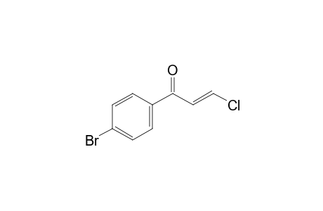 trans-4'-bromo-3-chloroacrylophenone