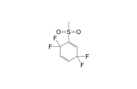 METHYL-3,3,6,6-TETRAFLUORO-1,4-CYClOHEXADIENYLSULFONE
